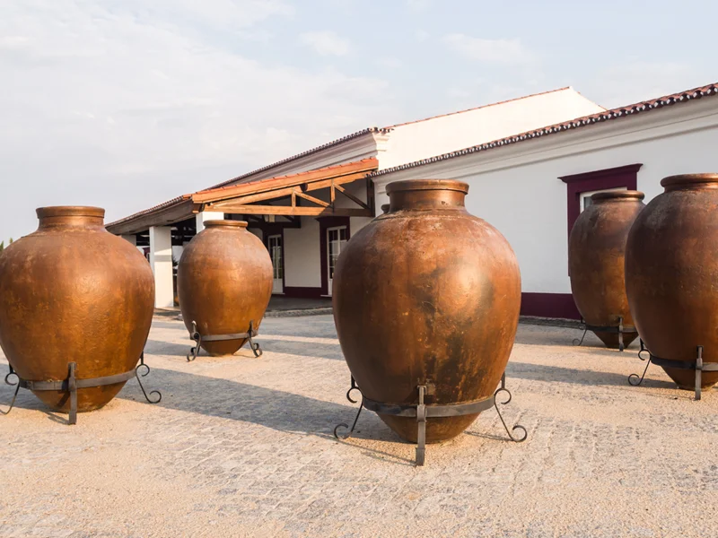 Typical Vineyards Alentejo. Alentejo Wine Tour
