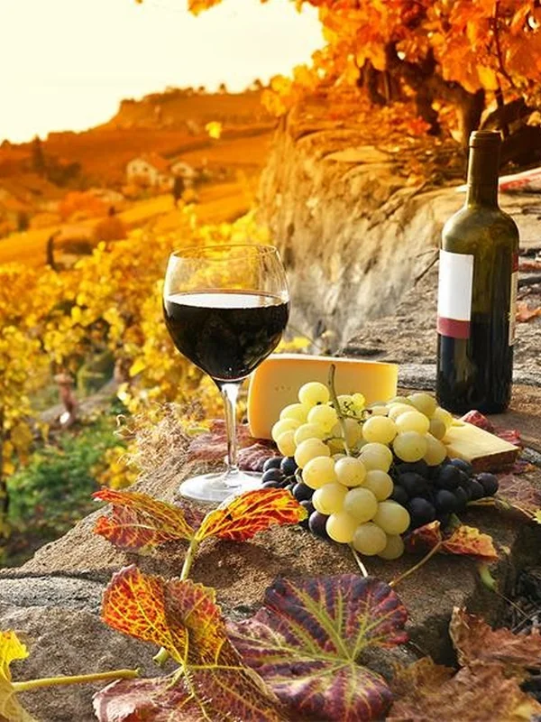 Wine tours - Alentejo - Custom private tours