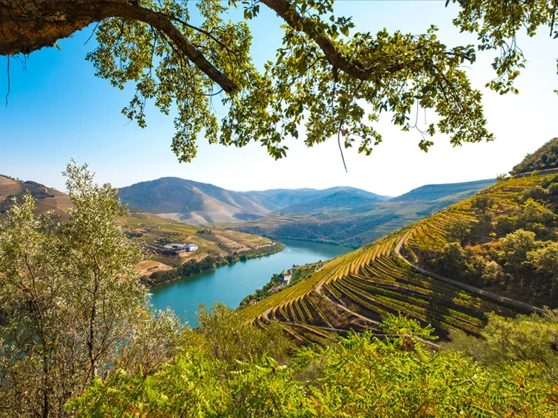 douro-valley-portugal-private-tours-faqs